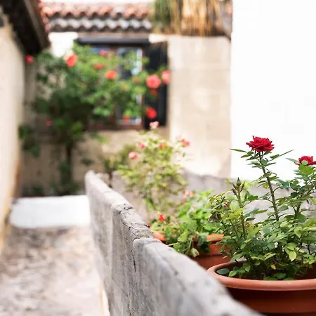 Casa El Drago Arico